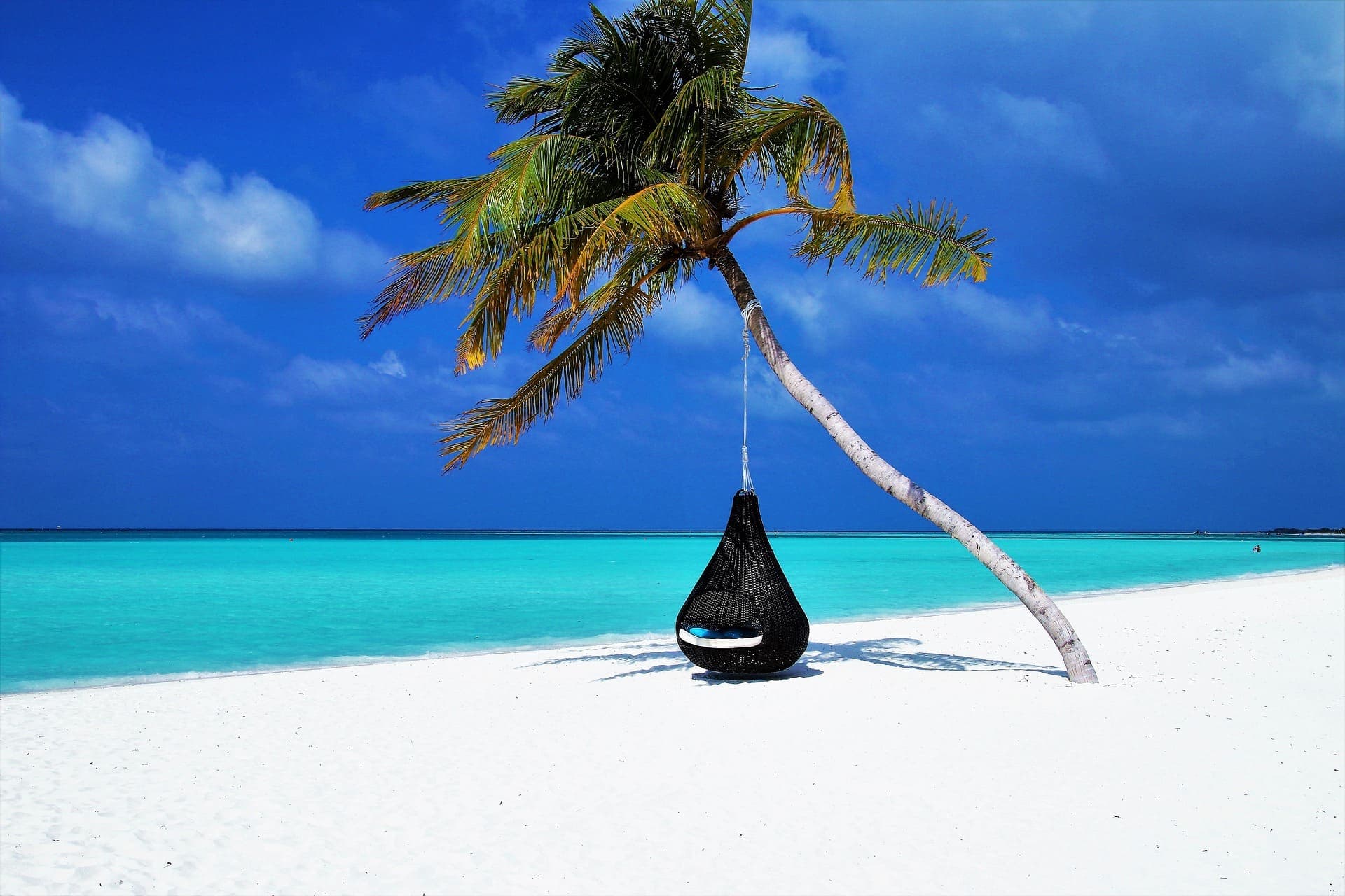 Traumstrand mit Palme - Hängesessel am Strand - Günstige Flugreisen und Pauschalurlaub auf Flugreisen.net