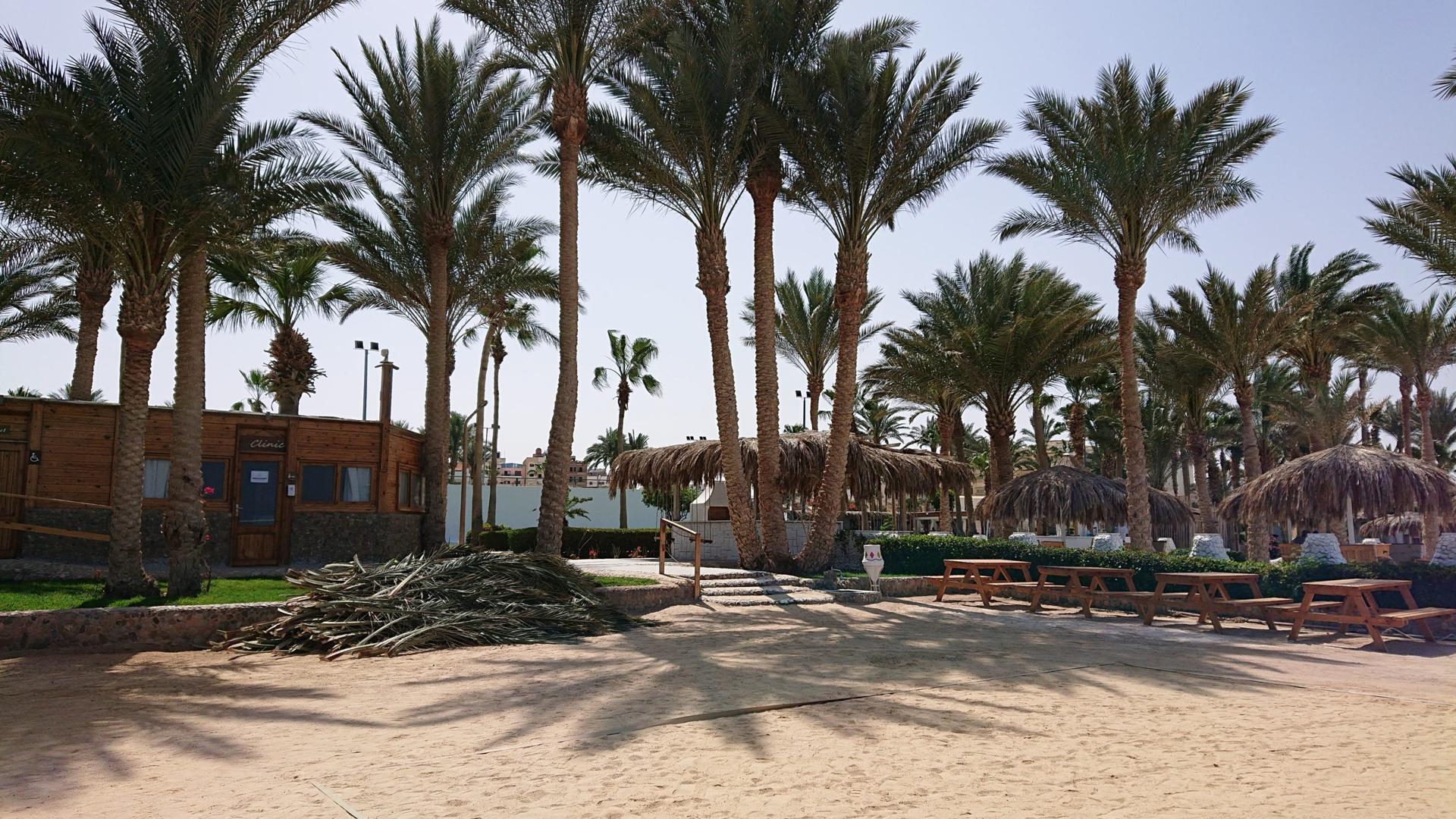 Schattiger Strandabschnitt mit Palmen und Picknicktischen im Meraki Resort Hurghada