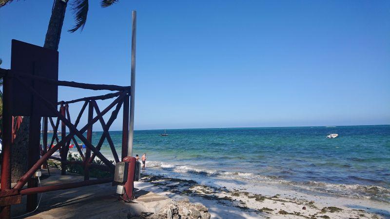 Türkisblaues Meer der Kenia-Küste mit Holzsteg und Palmen bei strahlend blauem Himmel
